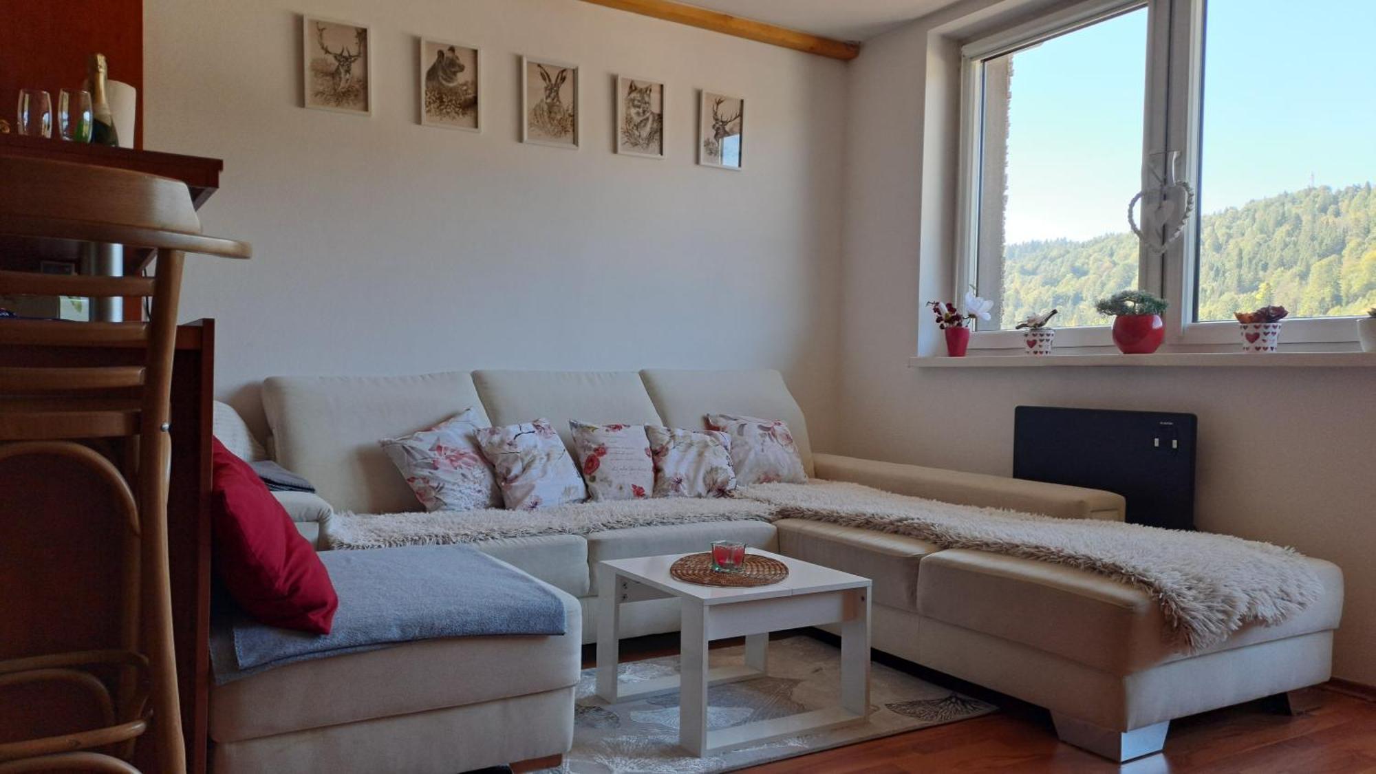 Mezonetovy Apartman V Oscadnici Oszczadnica Zewnętrze zdjęcie